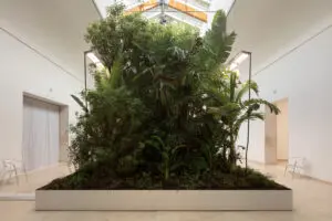 A Biospheres nel padiglione del Belgio l’architetto Bas Smets e il biologo Stefano Mancuso propongono un nuovo dialogo tra natura e architettura, in cui edifici come microclimi e piante attive rendono le città più vivibili e sostenibili